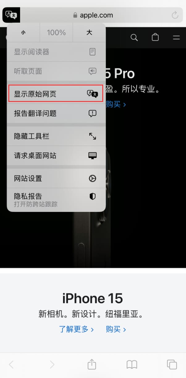 在 iPhone 上使用 Safari 浏览器翻译网页:可设置多种翻译语言