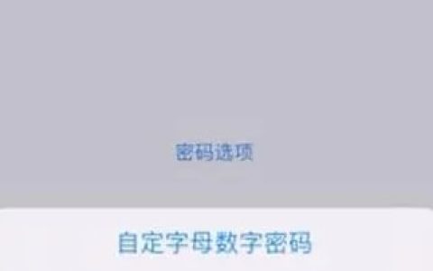 iPhone15手机六位密码如何改四位 iPhone15手机六位密码改四位方法