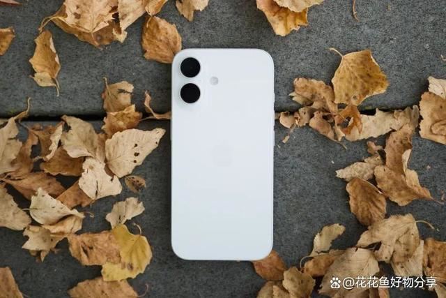 iPhone16和iPhone15哪个值得买?iPhone16和iPhone15全方位对比评测