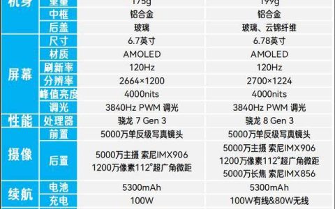 价格相差1100元荣耀300和荣耀300Pro怎么选? 两款手机区别对比
