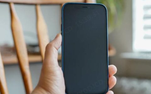 iPhone突然黑屏又恢复怎么办? 黑屏原因及修复指南