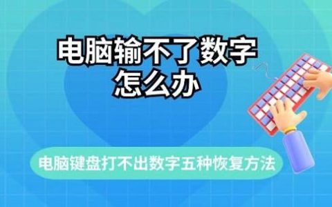 电脑键盘输入不了数字怎么办恢复? 从硬件排查到功能键误触的全面解决方案