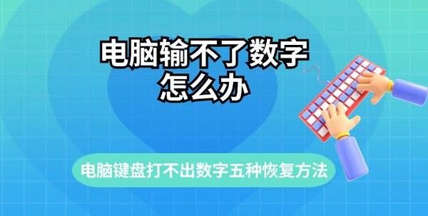 电脑键盘输入不了数字怎么办恢复? 从硬件排查到功能键误触的全面解决方案