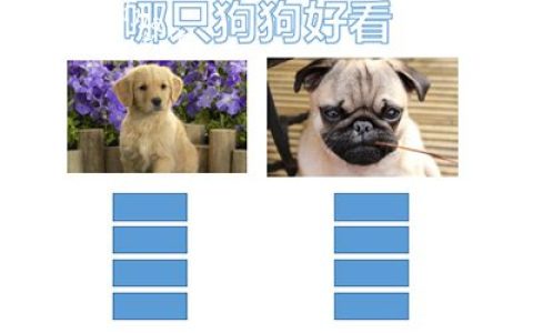 PPT投票功能怎么设置 这个动画效果了解下