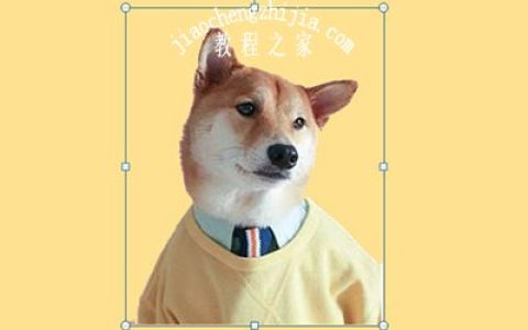 PPT叠影效果怎么制作 教你一招生成高大上封面