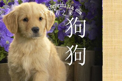 PPT渐变蒙板