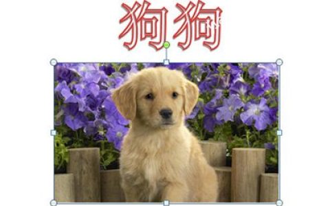 PPT怎么实现点一下出来一部分 动画效果了解下