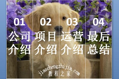 PPT怎么设置形状格式