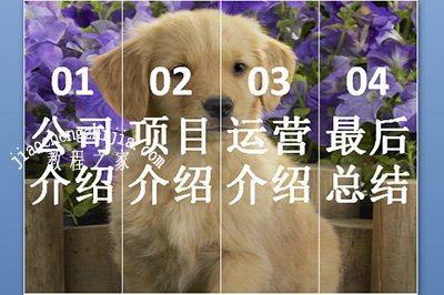 PPT怎么做目录好看