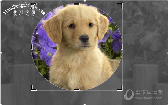设置裁剪范围