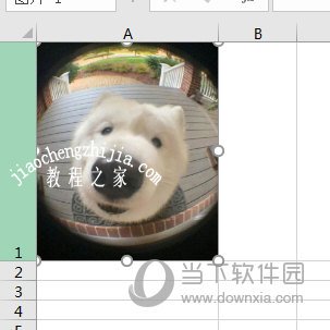 Excel2016把图片嵌入到单元格里