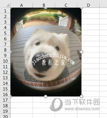 插入一张图片