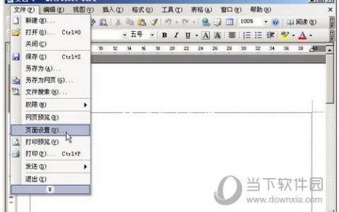 word2003怎么设置纸张大小 方法步骤