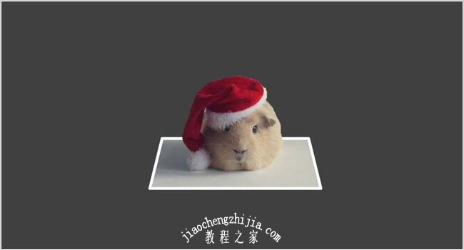 PPT怎么制作3D图片效果 PPT图片3D效果的制作步骤方法