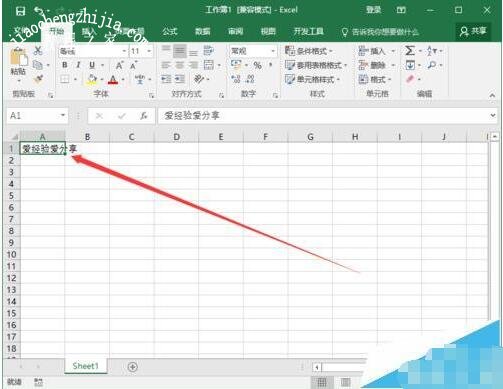 excel怎么设置文字自动换行 excel自动换行怎么自动调行高