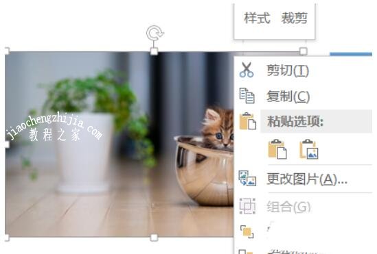 PPT怎么拆分相同大小的图片 PPT快速拆分同等大小图片的步骤方法