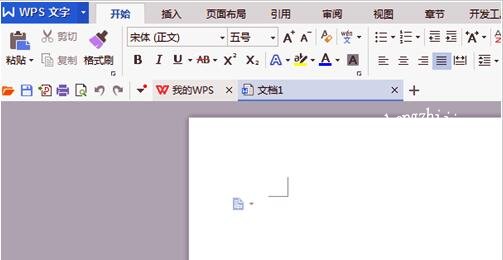 怎么在wps进行截图 wps快速截图的步骤方法