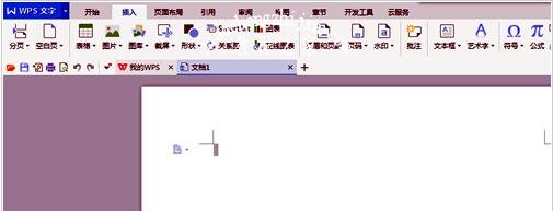 怎么在wps进行截图 wps快速截图的步骤方法