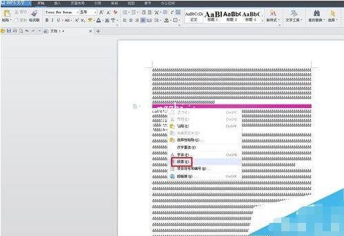 WPS文字插入图片显示不全怎么办 WPS文字插入图片显示不完整的解决方法