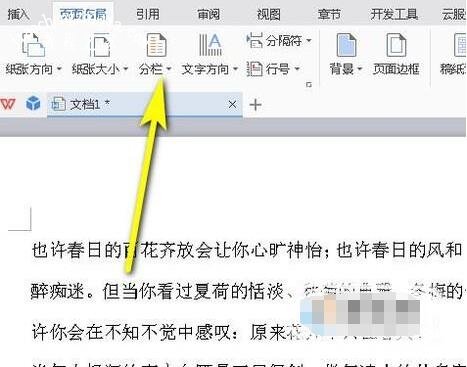 wps文字怎么取消分栏效果 wps文字取消分栏的步骤方法
