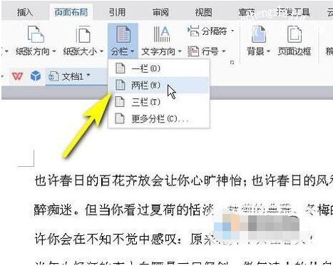 wps文字怎么取消分栏效果 wps文字取消分栏的步骤方法