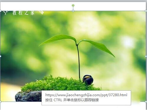 PPT图片怎么添加马赛克 PPT设置图片马赛克的方法步骤
