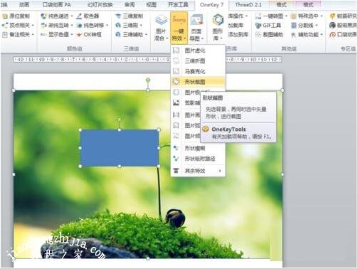 PPT图片怎么添加马赛克 PPT设置图片马赛克的方法步骤