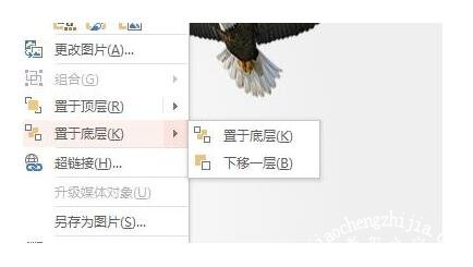PPT怎么添加动态背景 PPT插入动态背景的详细教程