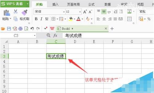 wps表格文字怎么设置文字方向 wps表格设置文字竖向显示的步骤方法