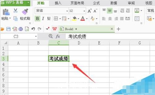 wps表格文字怎么设置文字方向 wps表格设置文字竖向显示的步骤方法