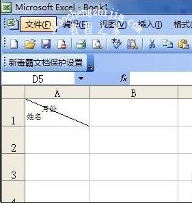 excel单元格内怎么添加斜线和文字 exce对角斜线怎么输入文字