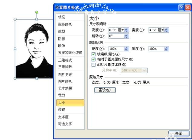 怎么将PPT中彩色照片变为黑白照 PPT彩色照片转换黑白照的方法