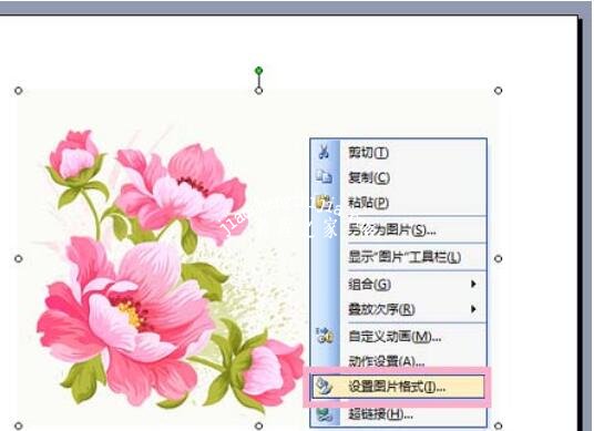 怎么在PPT中制作图片边框 PPT设计精美的图片边框技巧