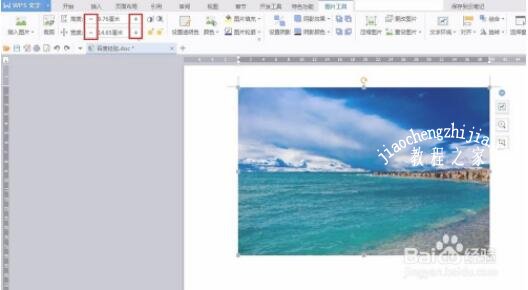 wps文档图片显示不全怎么办 wps文档图片显示异常的解决方法