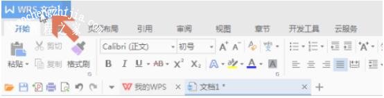 wps文字怎么将大写字母转换成小写 wps文字字母大小写的转换方法