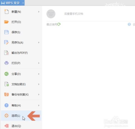 wps文字怎么将大写字母转换成小写 wps文字字母大小写的转换方法