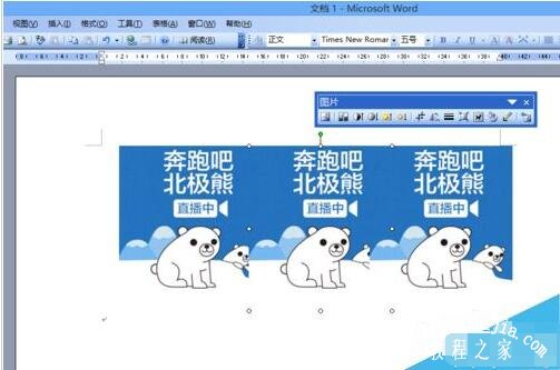 Word怎么将多张图片对齐排版 word如何把多个图片组合一起