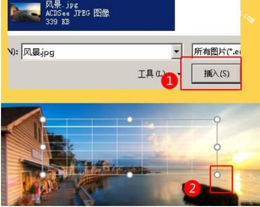 怎么用PPT填充表格背景 PPT填充表格背景的步骤方法