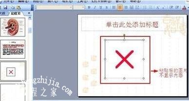 ppt怎么把图像镜像 ppt图像弄成镜像化的方法