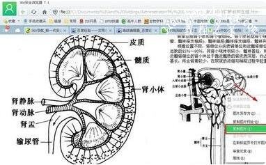 ppt怎么把图像镜像 ppt图像弄成镜像化的方法