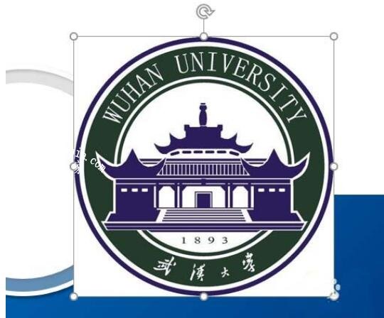 怎么用PPT快速去除图片背景色 PPT清除图片背景色详细教程