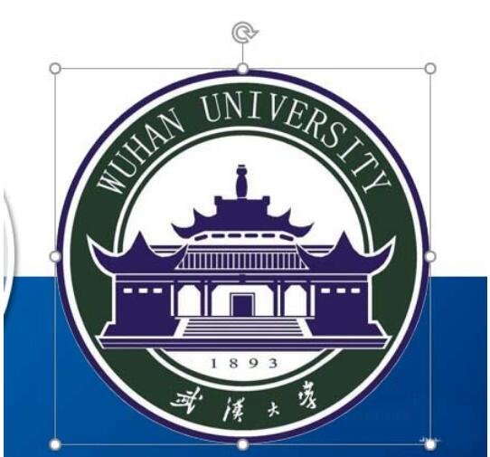 怎么用PPT快速去除图片背景色 PPT清除图片背景色详细教程