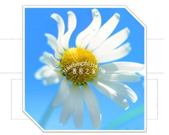 PPT截取的图片怎么设置边框 PPT设置截图并添加边框的步骤方法