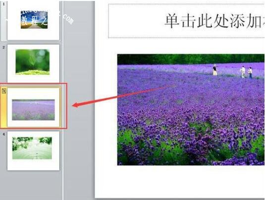 PPT怎么将制定内容隐藏 PPT隐藏制定内容的设置教程