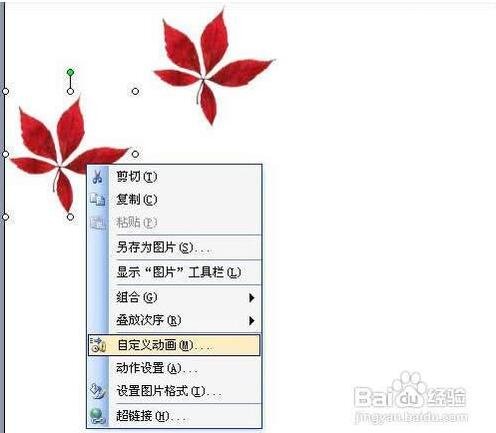 PPT怎么插入倒计时动画 PPT设计倒计时动画的详细教程